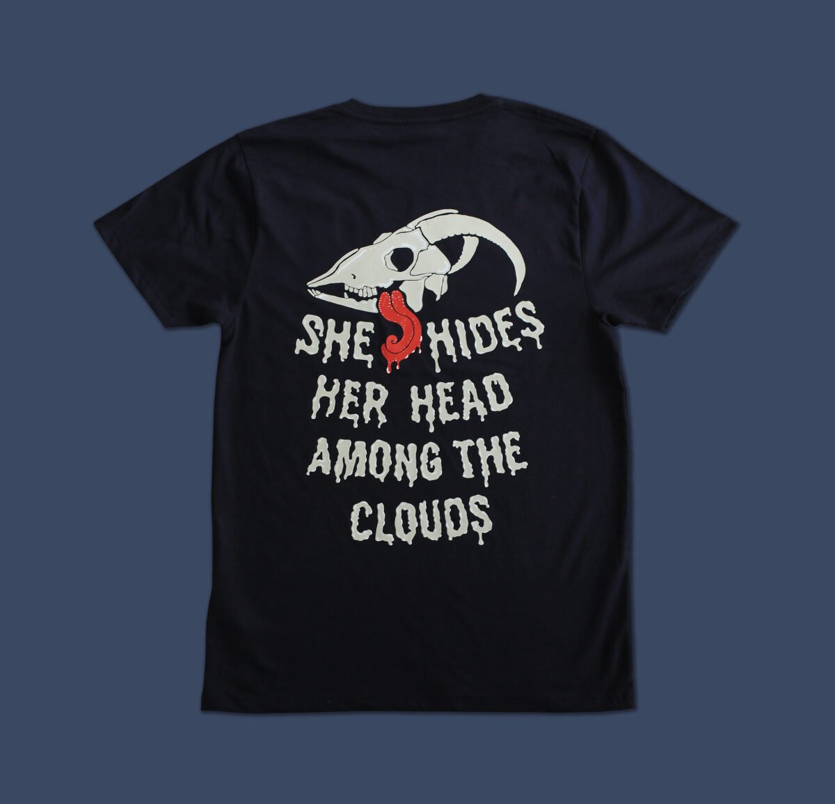 She hides her head among the clouds gateshead t-shirt back design